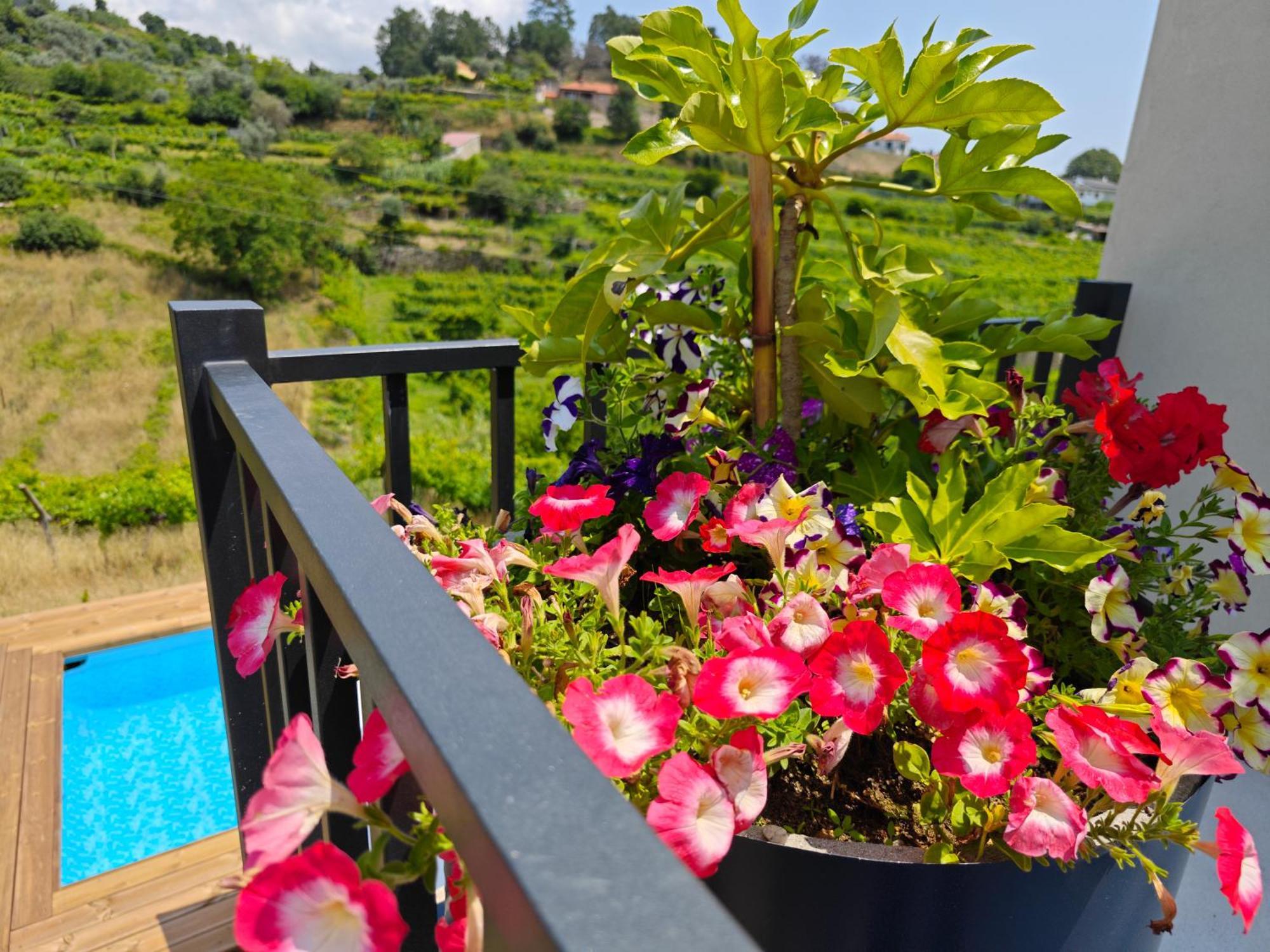 Casa Da Milinha - Villa With A Pool Near Rio Douro Santa Cruz do Douro 외부 사진